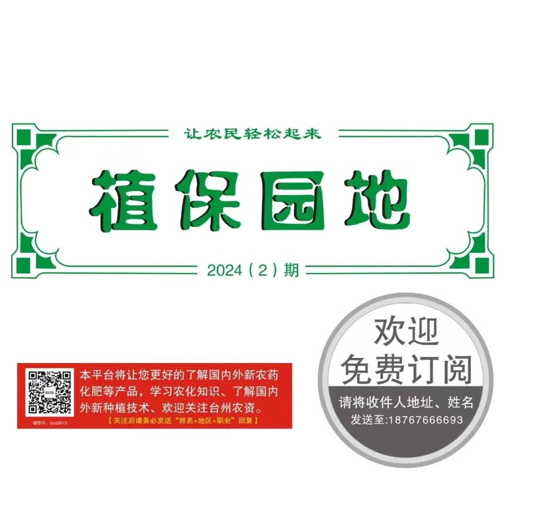 水稻秧苗根際微生物特性及其柢健菌劑外施技術提示